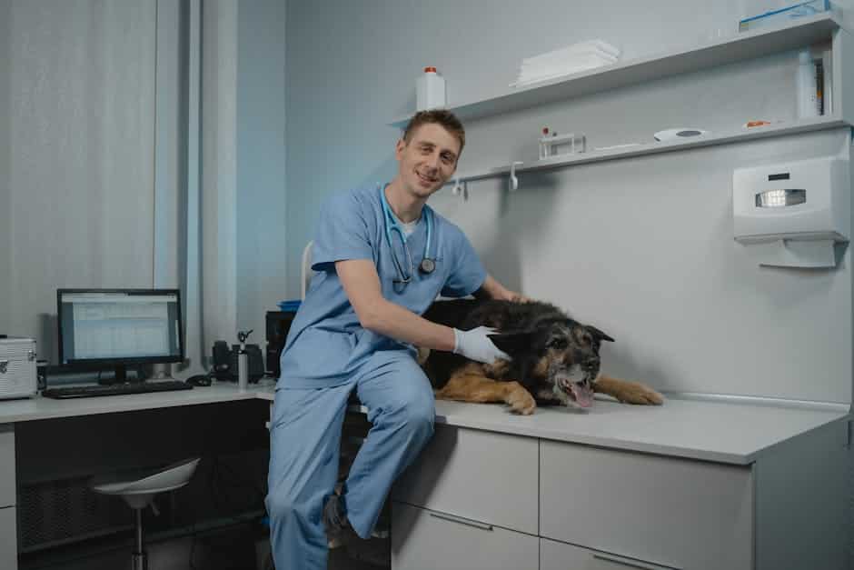 veterinary it services