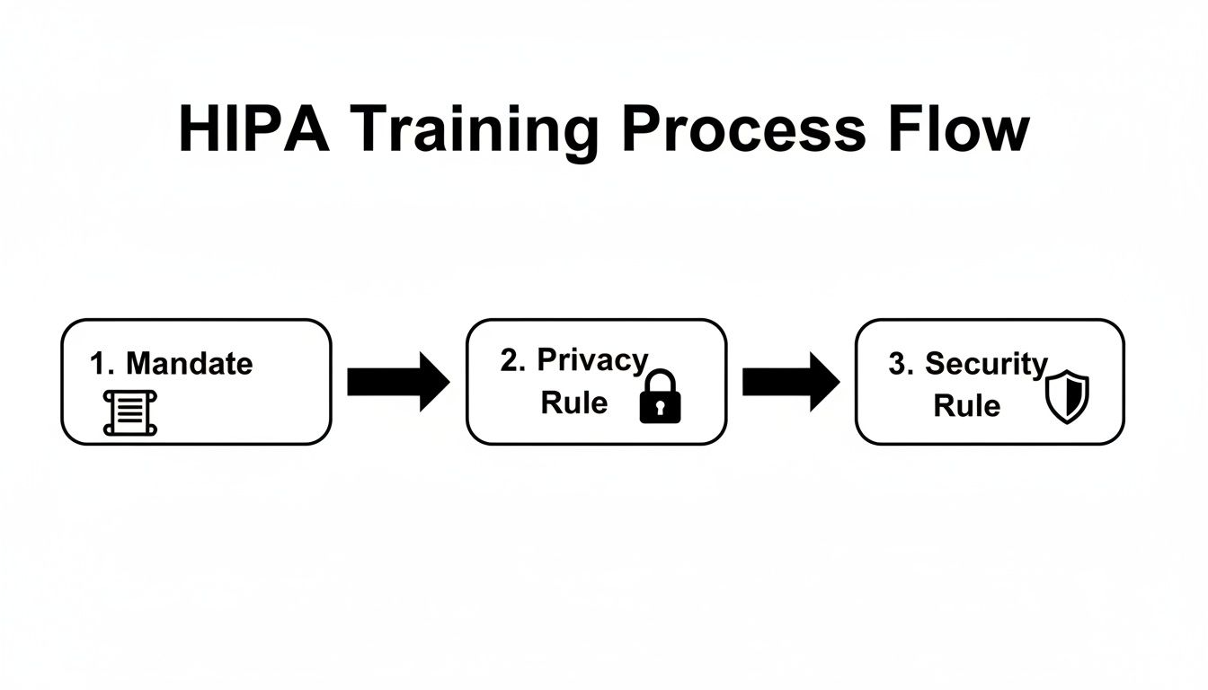 A flow chart illustrating the HIPA training process, detailing mandate, privacy rule, and security rule.